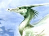 KormorandracheKormoran dragon