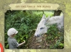 24 Ein Esel24 A donkey