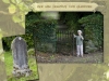 26 Friedhof26 Cemetary