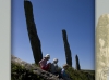 31 Standing Stones31 Standing Stones