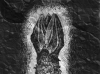 Bildnis des HassesImage of hate