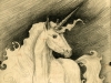 EinhornUnicorn